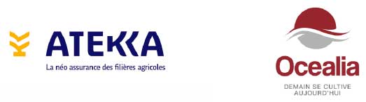 Atekka et Ocalia avec Understory proposent une solution d