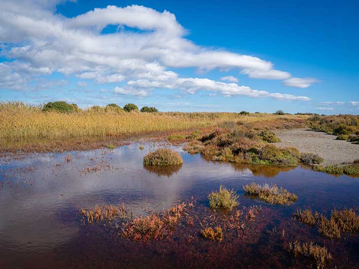 Camargue en pril : la mer grignote inexorablement les Saintes-Maries-de-la-Mer