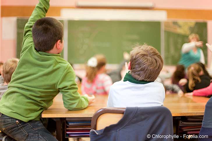 Assurance scolaire : obligatoire ou redondante ?