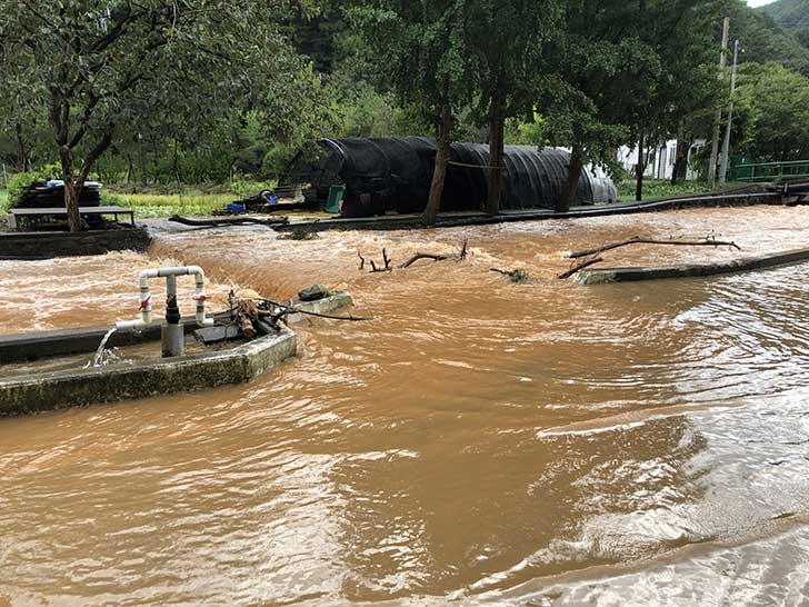 Les inondations en Europe Centrale en septembre 2024
Une analyse de Moodys